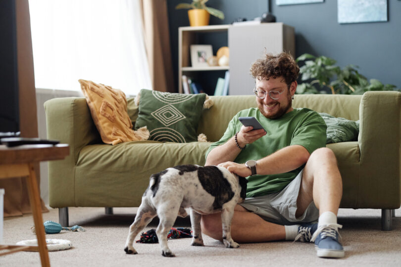Redes sociais podem normalizar sinais de stress em animais de companhia, alerta Associação