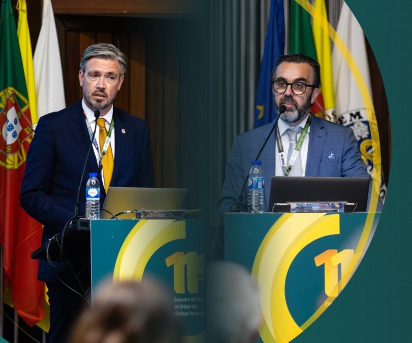 Formação contínua, One Health e valorização profissional marcam 11.º Encontro de Formação da OMV