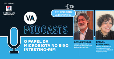 O papel da microbiota no eixo intestino-rim