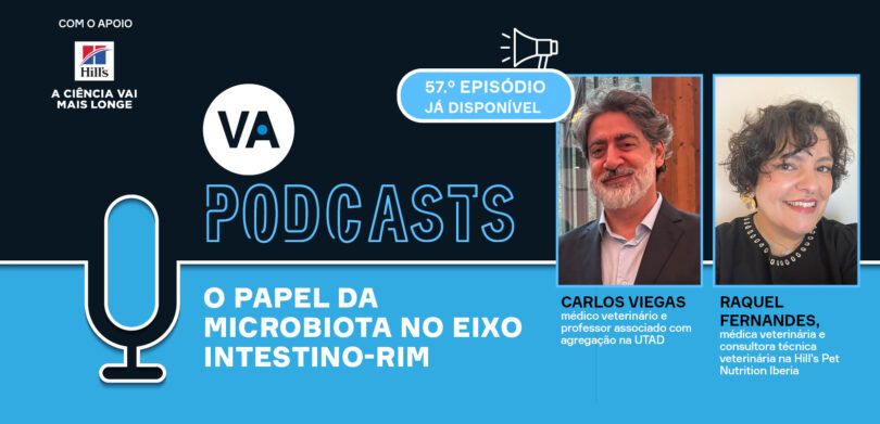 O papel da microbiota no eixo intestino-rim