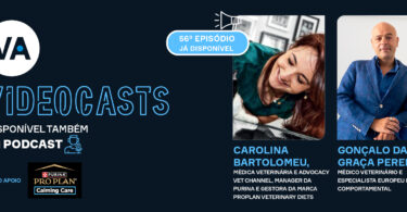 Novo episódio do videocast Veterinária Atual destaca o eixo cérebro-intestino