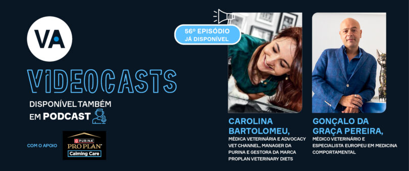 Novo episódio do videocast Veterinária Atual destaca o eixo cérebro-intestino