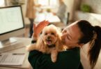 Levar animais de companhia para o trabalho pode influenciar mudança de emprego em Espanha