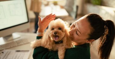Levar animais de companhia para o trabalho pode influenciar mudança de emprego em Espanha