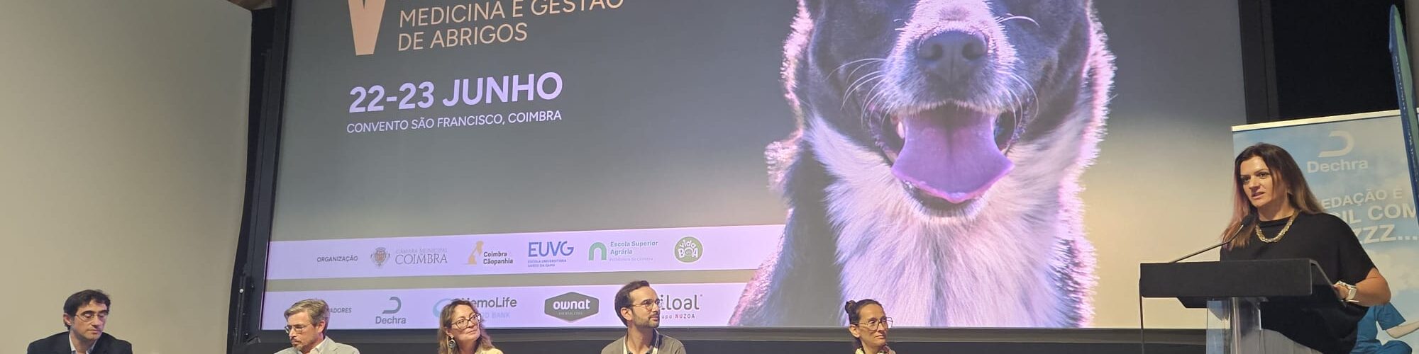 Sobrelotação e recursos limitados continuam a desafiar abrigos em Portugal