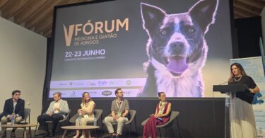Sobrelotação e recursos limitados continuam a desafiar abrigos em Portugal