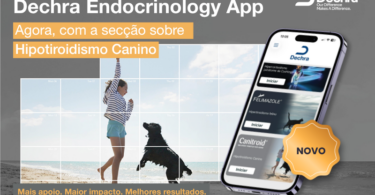 Hipotiroidismo canino ganha nova secção em app de apoio clínico