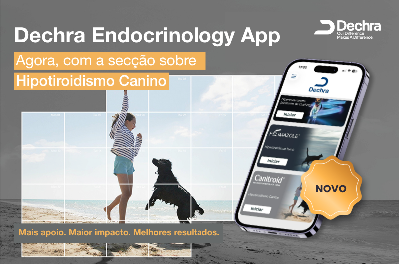 Hipotiroidismo canino ganha nova secção em app de apoio clínico