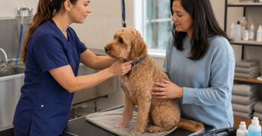 Vetoquinol disponibiliza materiais para preparar animais antes de banho e tosquia