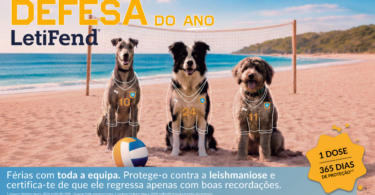 Campanha reforça prevenção da leishmaniose canina durante o verão