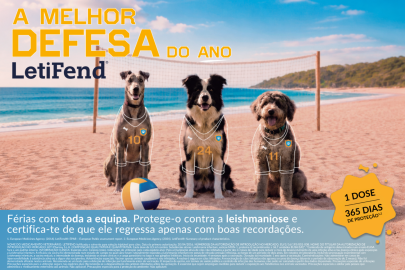 Campanha reforça prevenção da leishmaniose canina durante o verão