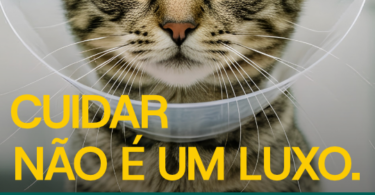 OMV lança campanha nacional para reduzir IVA dos serviços médico-veterinários