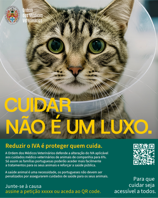 OMV lança campanha nacional para reduzir IVA dos serviços médico-veterinários