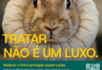 Petição da OMV para reduzir IVA veterinário ultrapassa 3500 assinaturas