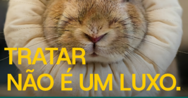Petição da OMV para reduzir IVA veterinário ultrapassa 3500 assinaturas