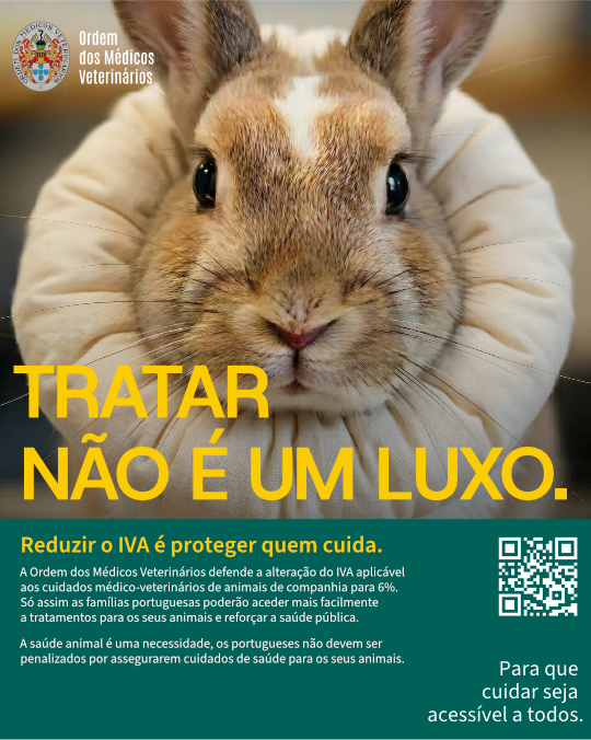 Petição da OMV para reduzir IVA veterinário ultrapassa 3500 assinaturas