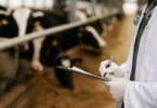 Prevenção e vigilância são apontadas como prioridades no combate à resistência antimicrobiana