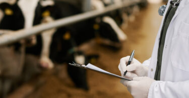 Prevenção e vigilância são apontadas como prioridades no combate à resistência antimicrobiana