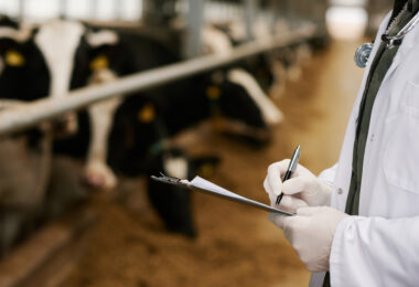 Prevenção e vigilância são apontadas como prioridades no combate à resistência antimicrobiana