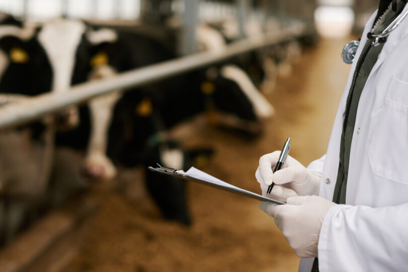 Prevenção e vigilância são apontadas como prioridades no combate à resistência antimicrobiana